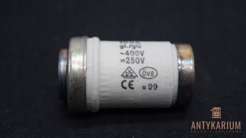 Wkładka bezpiecznikowa D03 100A 5SE2 300 Siemens