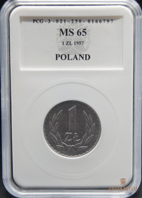 1 zł 1957 aluminium MS 65 skrętka 10%