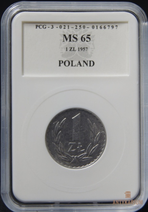 1 zł 1957 aluminium MS 65 skrętka 10%